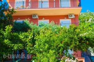 Studios Ristas 2_best prices_in_Hotel_Epirus_Preveza_Parga