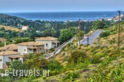 Iro Suites_s __1
