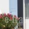 Sourmeli Garden Hotel_best prices_in_Hotel_Cyclades Islands_Mykonos_Ornos