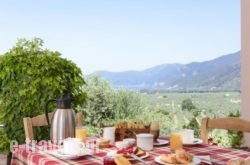 Eleonas Guesthouse_s __1