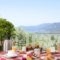 Eleonas Guesthouse_accommodation_in_Hotel_Central Greece_Fthiotida_Atalanti