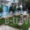 Oceanis Rooms_best deals_Room_Ionian Islands_Kefalonia_Fiskardo