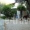 Oceanis Rooms_accommodation_in_Room_Ionian Islands_Kefalonia_Fiskardo