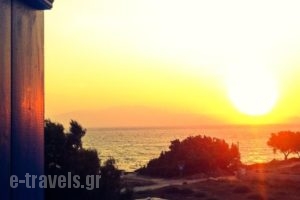 Thalassa Naxos_best deals_Hotel_Cyclades Islands_Naxos_Naxos chora