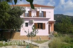 Vassilis Studios_s __1