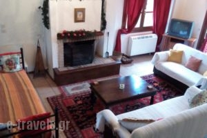 Arachova Houses_best prices_in_Hotel_Central Greece_Fokida_Delfi