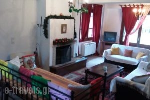 Arachova Houses_holidays_in_Hotel_Central Greece_Fokida_Delfi