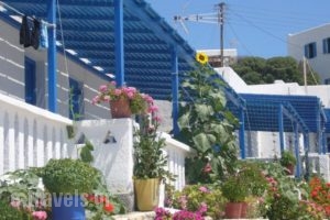 Iliovasilema Studios_lowest prices_in_Hotel_Cyclades Islands_Koufonisia_Koufonisi Rest Areas