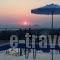 Petrina Villa_best deals_Villa_Piraeus islands - Trizonia_Aigina_Aigina Rest Areas