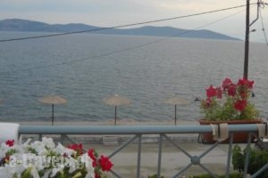 Ktima Develekou_holidays_in_Hotel_Peloponesse_Argolida_Kranidi