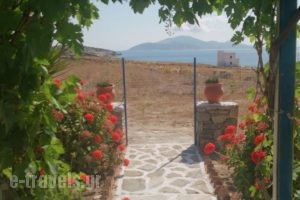 Anatoli Studios_lowest prices_in_Hotel_Cyclades Islands_Schinousa_Schinousa Chora