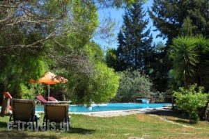 Wildrose Corfu Apartments_travel_packages_in_Ionian Islands_Corfu_Corfu Rest Areas