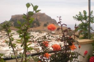 Chrysa Studios_lowest prices_in_Hotel_Dodekanessos Islands_Rhodes_Lindos