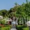 Vicky Studios and Apartments_best deals_Apartment_Aegean Islands_Lesvos_Polihnitos