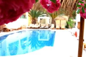 Hotel Zeus_lowest prices_in_Hotel_Cyclades Islands_Sandorini_kamari