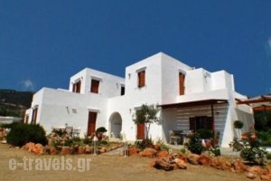 Blue Fish_holidays_in_Hotel_Cyclades Islands_Sifnos_Sifnos Chora