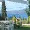 Vergina Star Hotel_holidays_in_Hotel_Ionian Islands_Lefkada_Lefkada's t Areas