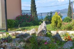 Vergina Star Hotel_lowest prices_in_Hotel_Ionian Islands_Lefkada_Lefkada's t Areas