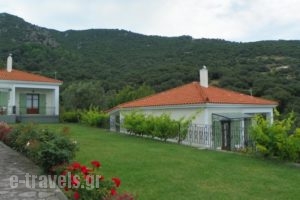 Vafios Villas_best prices_in_Villa_Aegean Islands_Lesvos_Petra