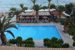 Evvoiki Akti Hotel_best deals_Hotel_Central Greece_Viotia_Thiva