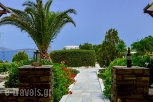 Peristeri Apartments_travel_packages_in_Cyclades Islands_Antiparos_Antiparos Chora