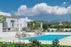 Sea & Olives Villas in Naxos Chora, Naxos, Cyclades Islands