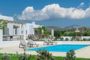 Sea & Olives Villas_accommodation_in_Villa_Cyclades Islands_Naxos_Naxos chora