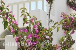 Korali Hotel And Apartments in Antiparos Chora, Antiparos, Cyclades Islands