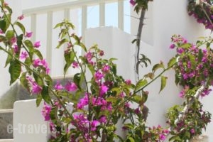 Korali Hotel And Apartments_accommodation_in_Apartment_Cyclades Islands_Antiparos_Antiparos Chora