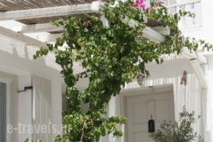 Korali Hotel And Apartments_best deals_Apartment_Cyclades Islands_Antiparos_Antiparos Chora