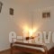 Oasis Apartments_best deals_Apartment_Thessaly_Magnesia_Pilio Area