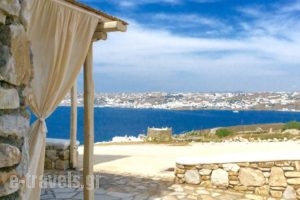 Blue Ocean Mykonos_best prices_in_Hotel_Cyclades Islands_Mykonos_Mykonos ora