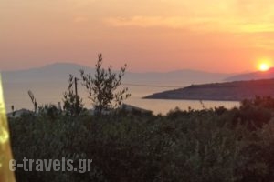Oasis Apartments_travel_packages_in_Thessaly_Magnesia_Pilio Area
