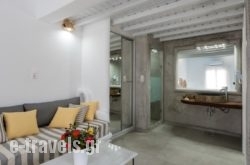 Villa Konstantin_s __1