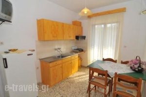 Eva Apartments_best prices_in_Apartment_Aegean Islands_Thasos_Limenaria