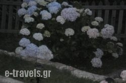 Soula Rooms_s __1