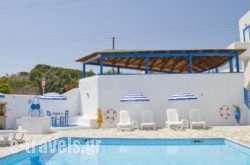 Blue Dolphin Studios And Apartment in Aigina Chora, Aigina, Piraeus Islands - Trizonia
