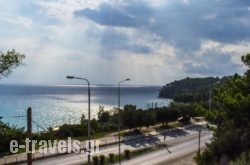Toroneon Studios_s __1
