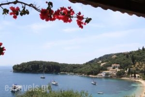Votsalo Kalamiapartments_accommodation_in_Apartment_Ionian Islands_Corfu_Corfu Rest Areas