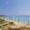 Rosa'S Beach Studios_travel_packages_in_Ionian Islands_Kefalonia_Vlachata