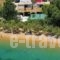 Alexandros-Vassilia_accommodation_in_Hotel_Cyclades Islands_Serifos_Livadi