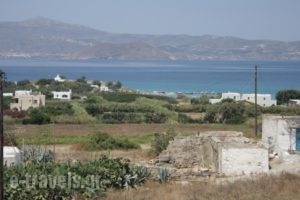 Kapares Studios_lowest prices_in_Hotel_Cyclades Islands_Naxos_Agia Anna