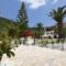 Panormos Beach Skopelos_holidays_in_Hotel_Sporades Islands_Skopelos_Skopelos Chora
