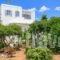 Paros Rita Studios_best prices_in_Hotel_Cyclades Islands_Paros_Alyki