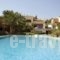 Villa Valli_best deals_Villa_Central Greece_Attica_Anabyssos