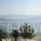 Pension Hirolakas_travel_packages_in_Central Greece_Fokida_Galaxidi