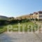 Fereniki Studios_best prices_in_Hotel_Aegean Islands_Limnos_Platy