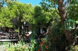 Stamatia'S Garden_s __1
