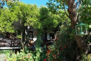 Stamatia'S Garden_accommodation_in_Hotel_Central Greece_Evia_Agia Anna