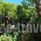 Stamatia'S Garden_accommodation_in_Hotel_Central Greece_Evia_Agia Anna